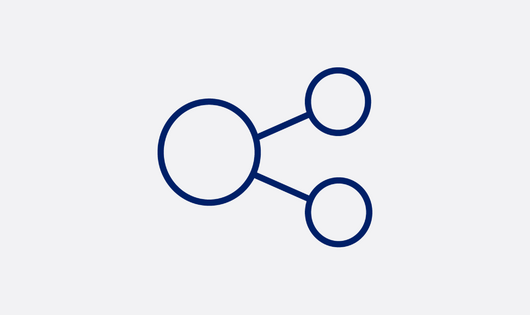 Network icon