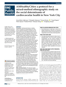 bmjph-3-2-new-york-city-publication